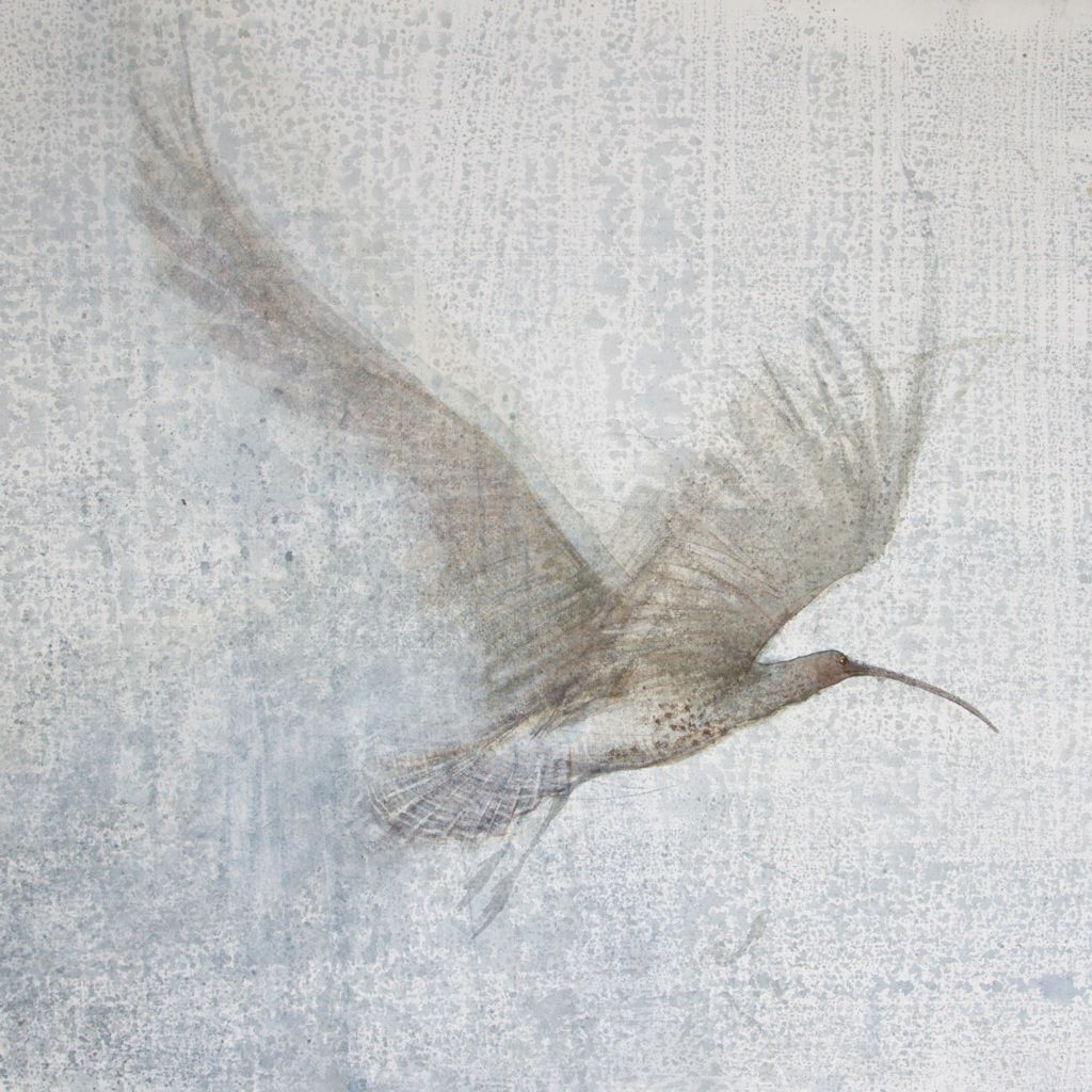 Sold claire_harkess