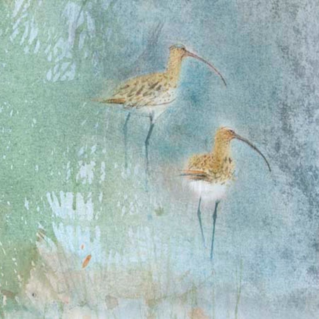 Sold claire_harkess