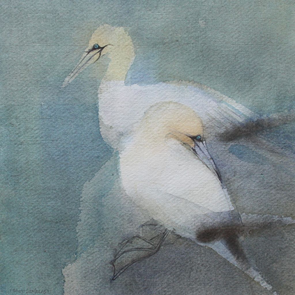 Sold claire_harkess