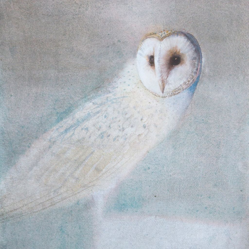 Sold claire_harkess
