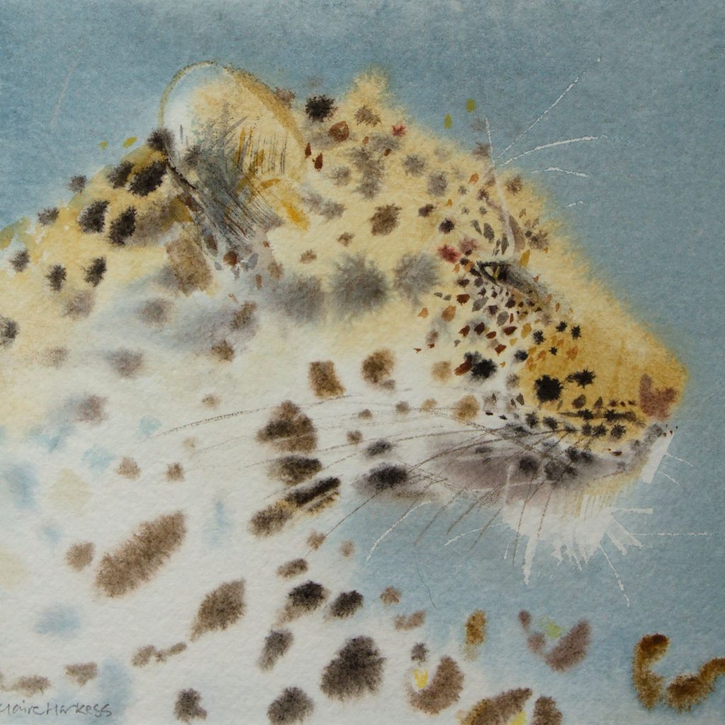 Sold claire_harkess