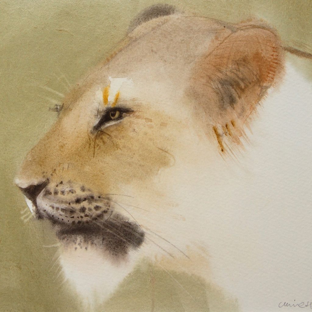 Sold claire_harkess