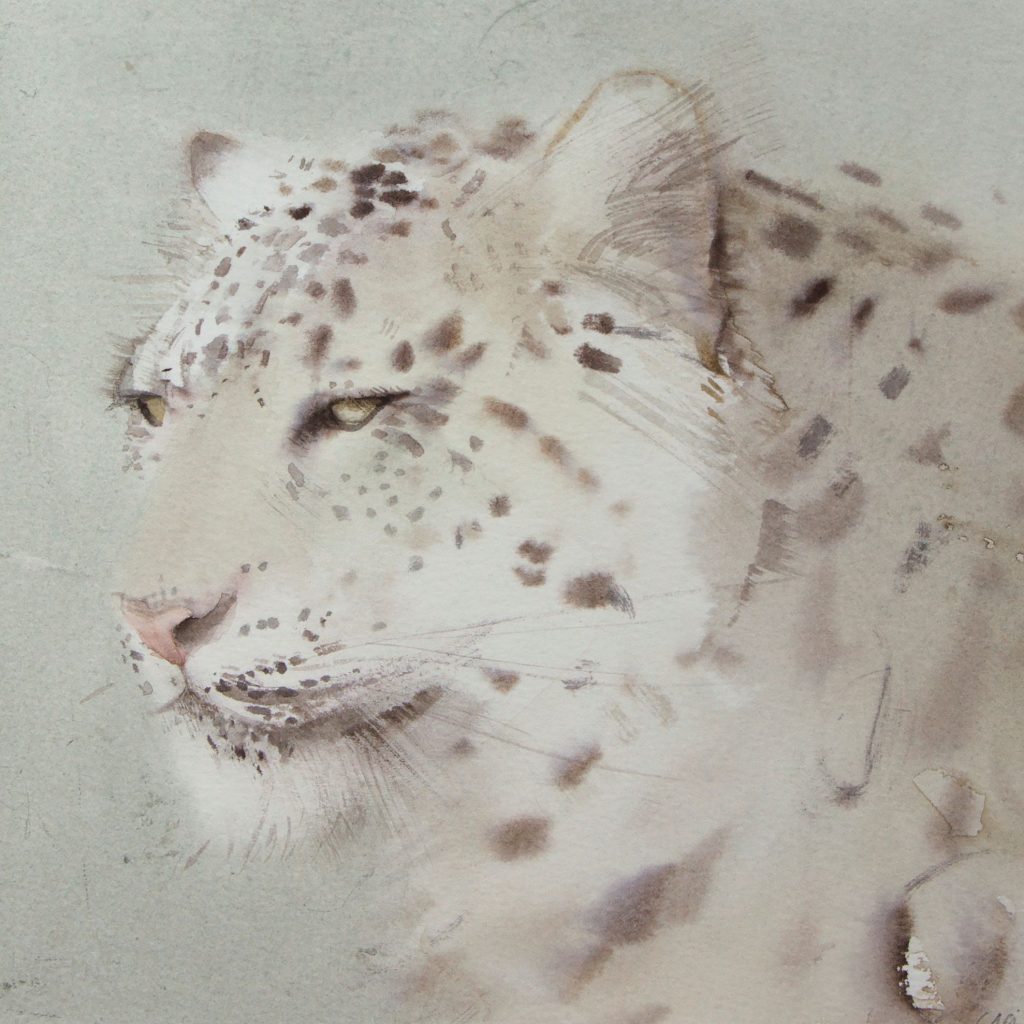 Sold claire_harkess