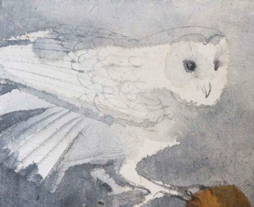 watercolour painting of barn owl