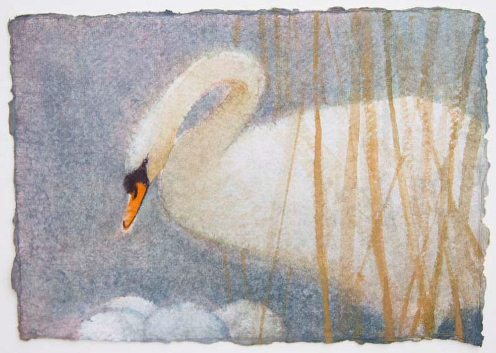 watercolour painting of swan