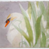 watercolour painting of swan