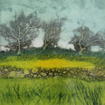sarah_ross_thompson