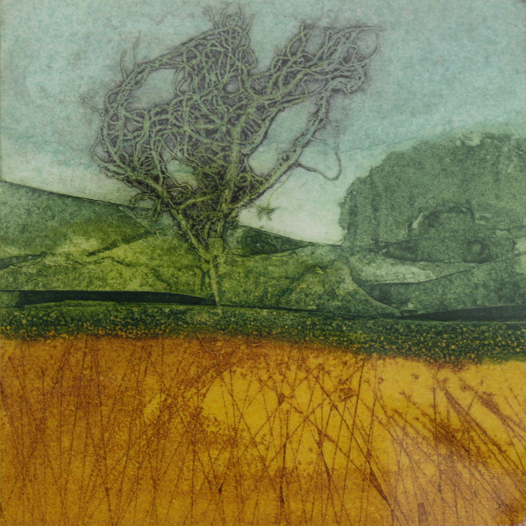 sarah_ross_thompson