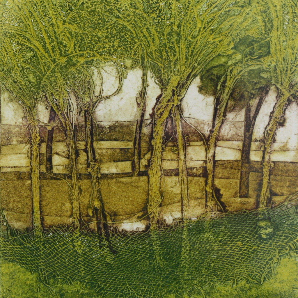 sarah_ross_thompson