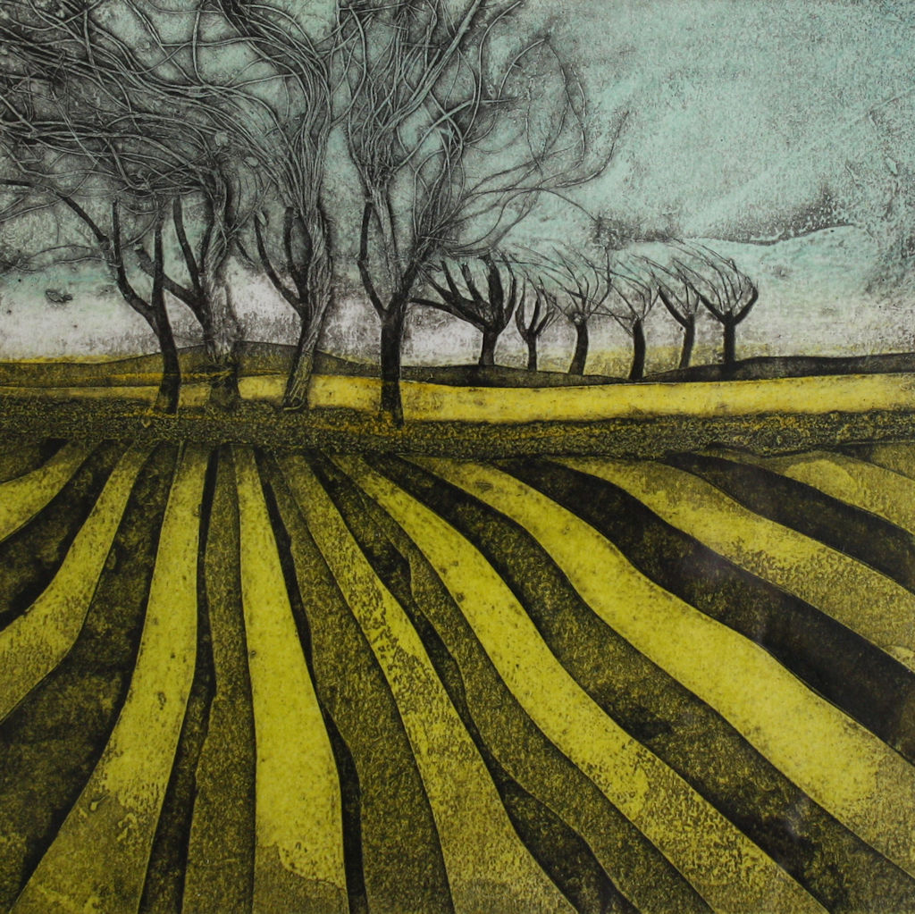sarah_ross_thompson