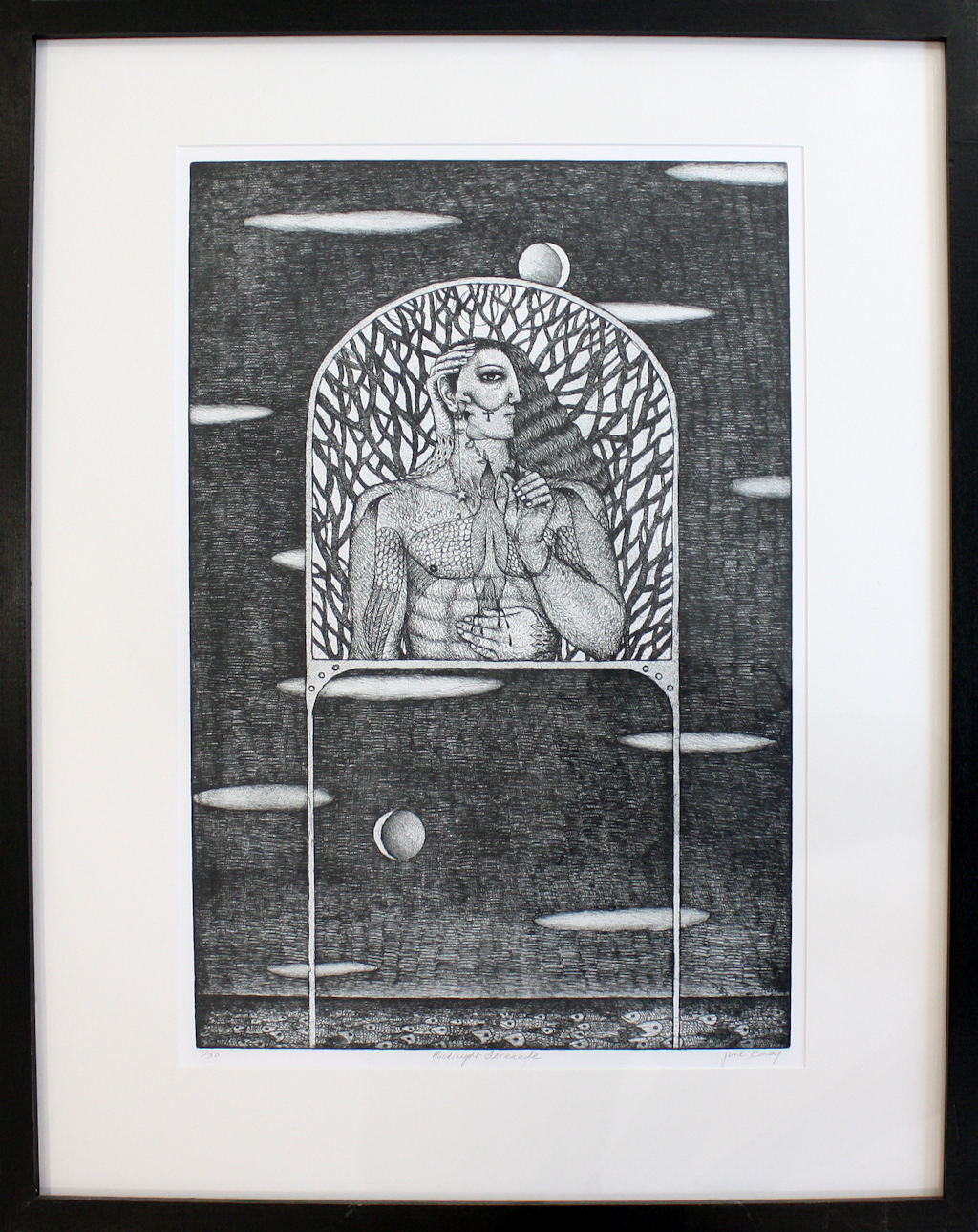 Midnight Serenade by June Carey 2