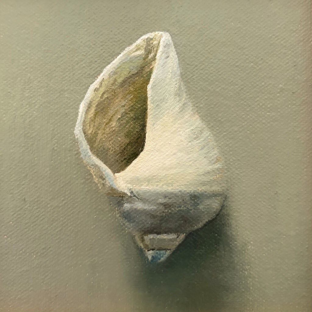 Whelk #2 by Lindsay Turk