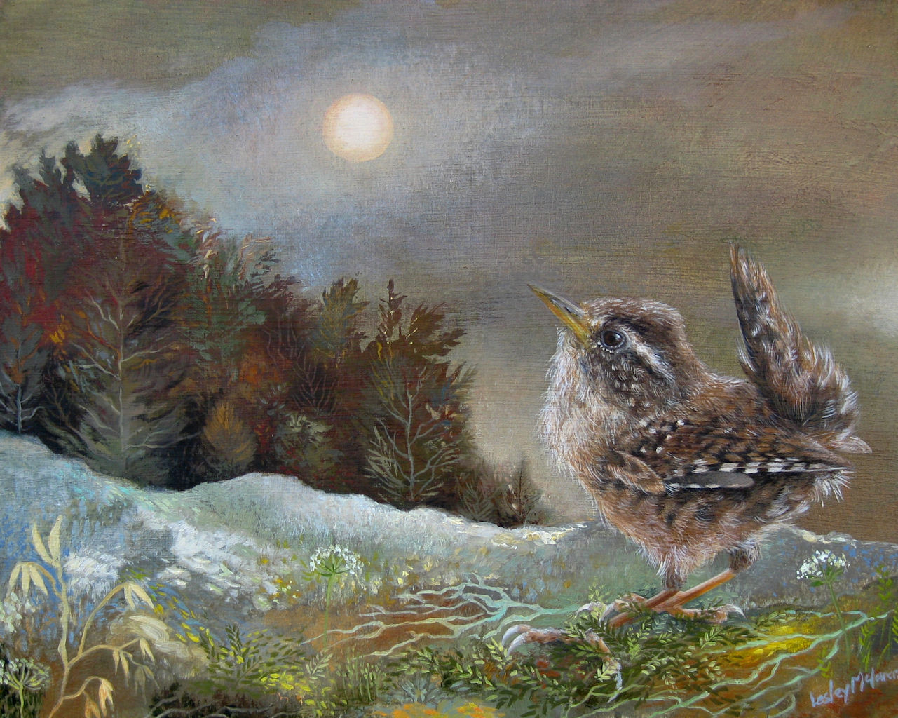A Mighty Wren by Lesley McLaren