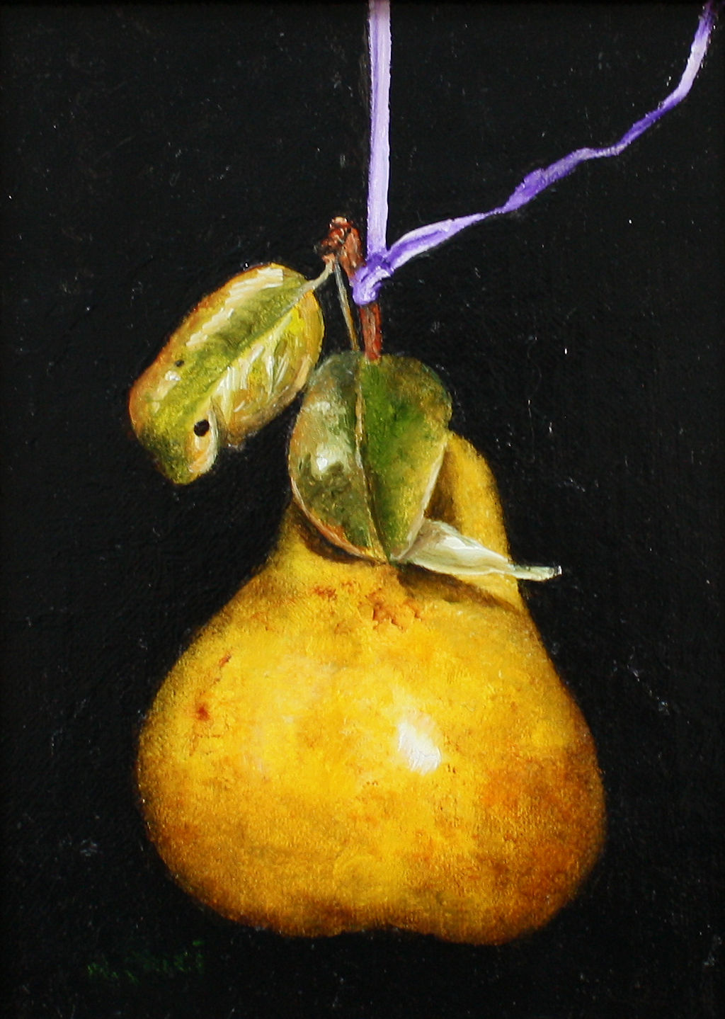 Pear Drop by Hilary Gauci