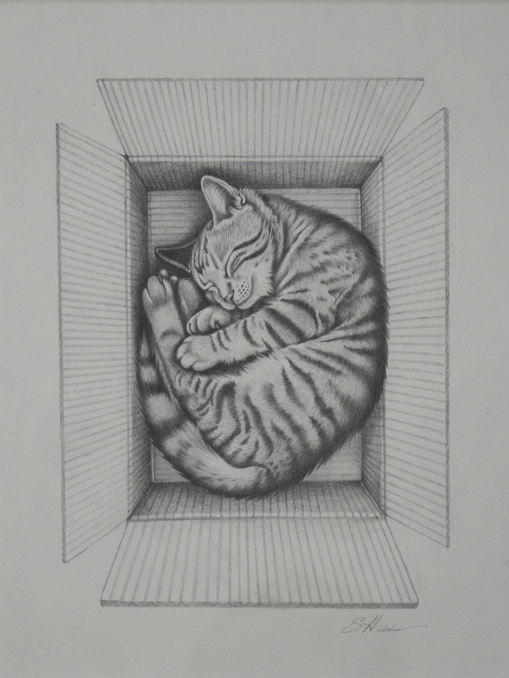Home Comforts by Susan Hutchison