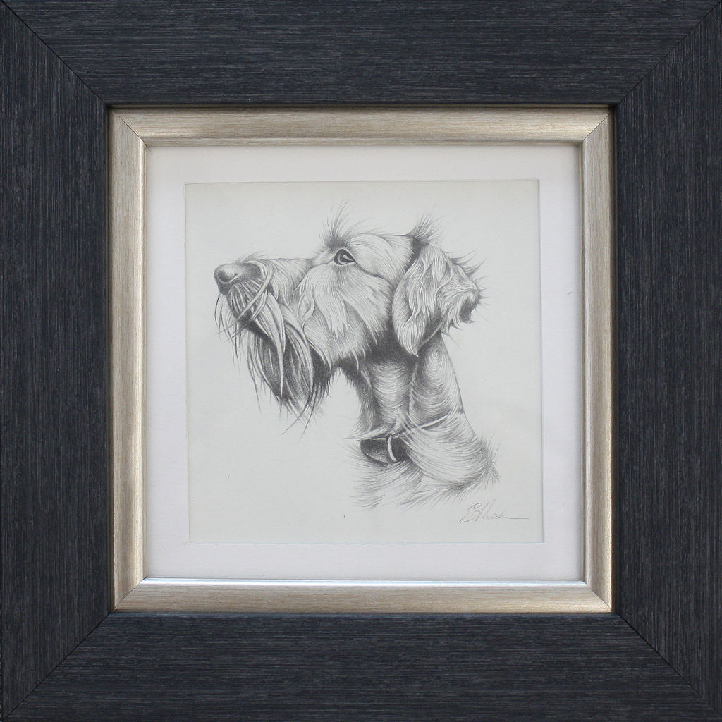Handsome Hound by Susan Hutchison Ff