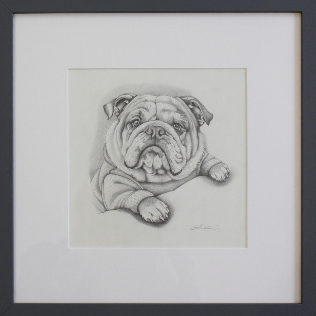 Roly Poly by Susan Hutchison F