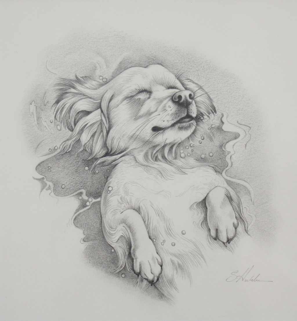Floating by Susan Hutchison