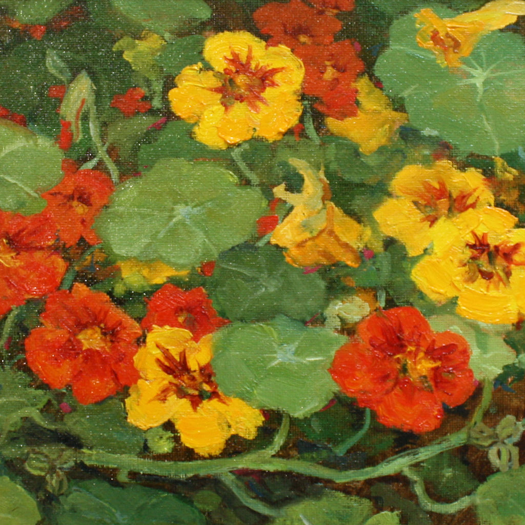 claire_rooney