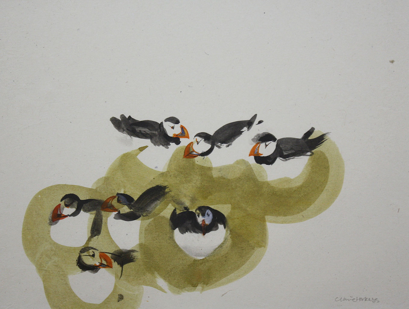 Puffins by Claire Harkess