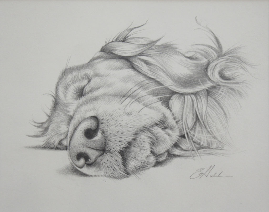 Snoozing by Susan Hutchison 2