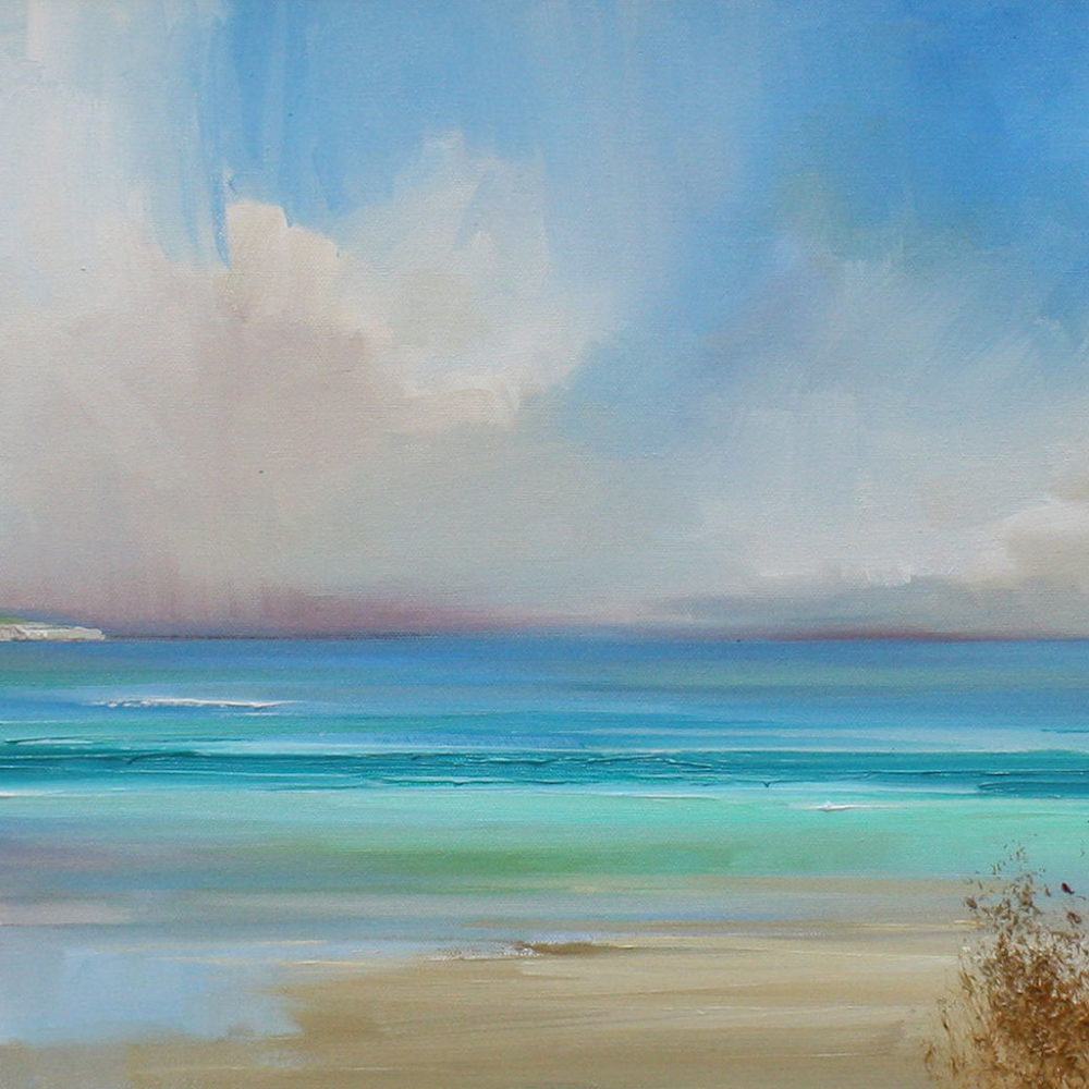 The Sweeping Coastline by Rosanne Barr